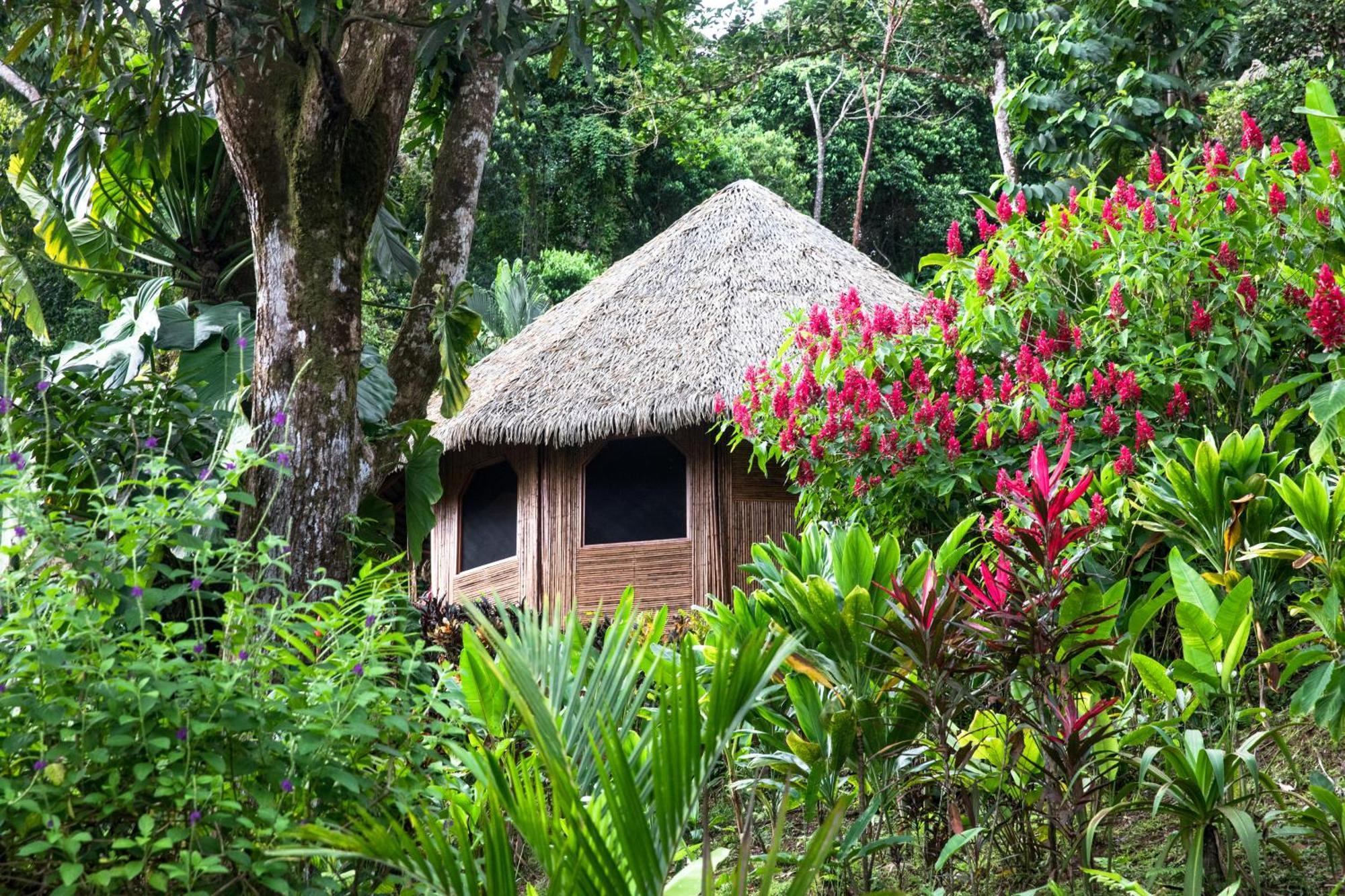 Luna Lodge Carate Exterior photo