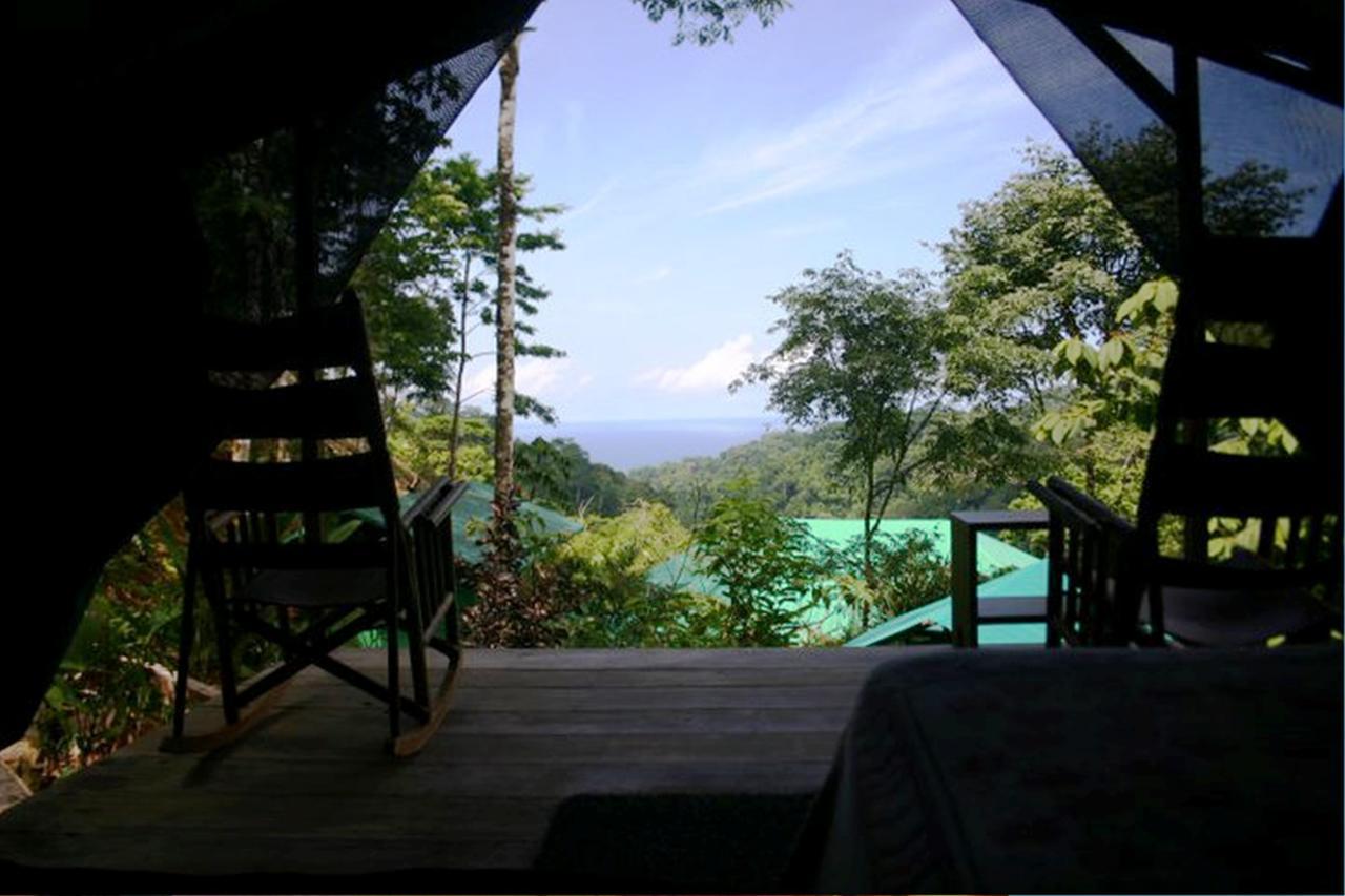Luna Lodge Carate Room photo